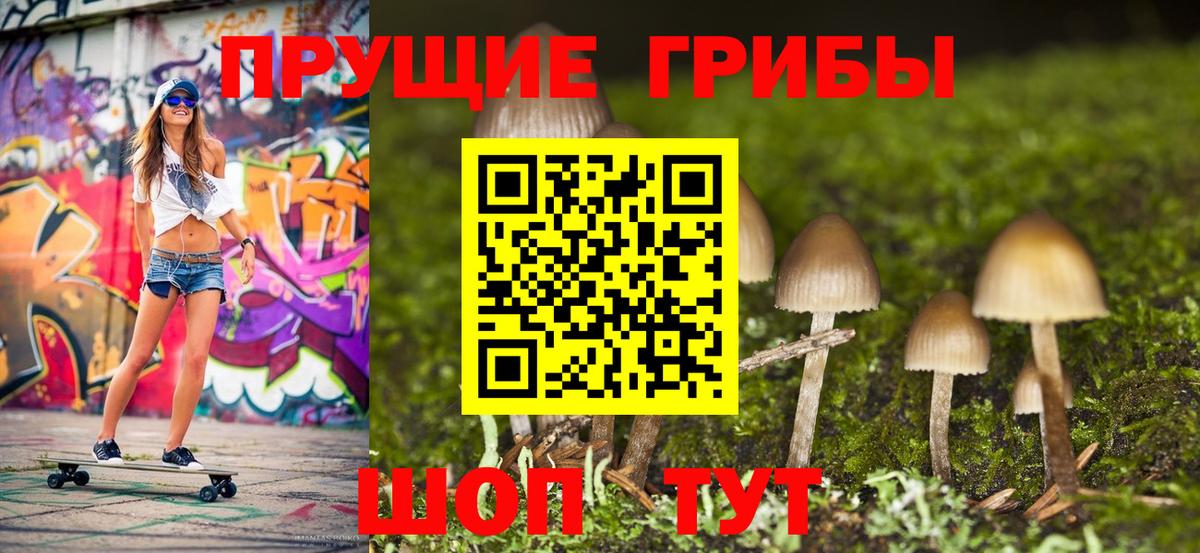 что такое   Псилоцибиновые грибы Psilocybine cubensis  Вход с VPN  Ревда 